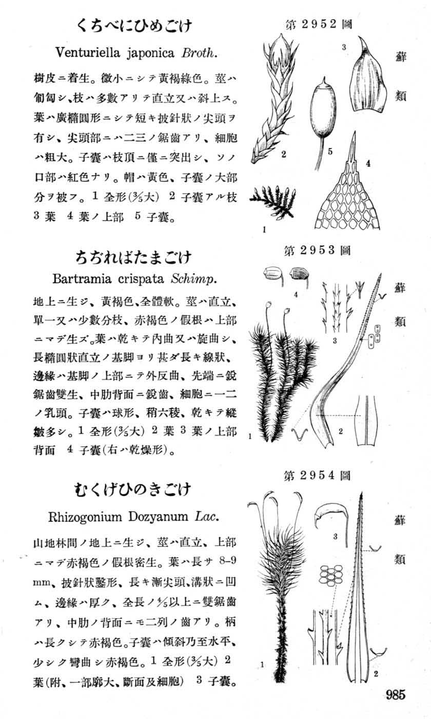 植物図鑑