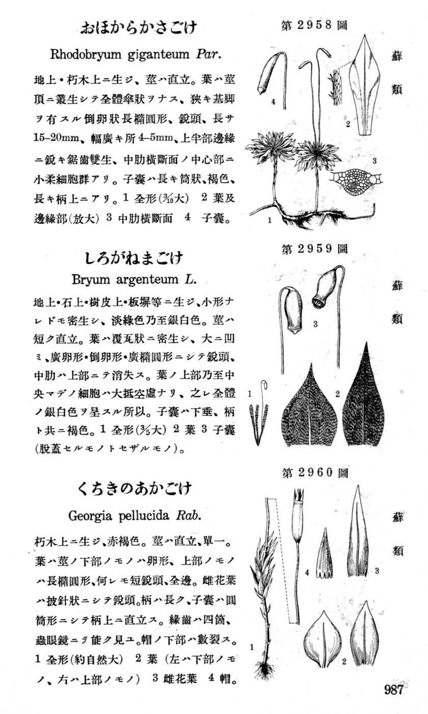 植物図鑑