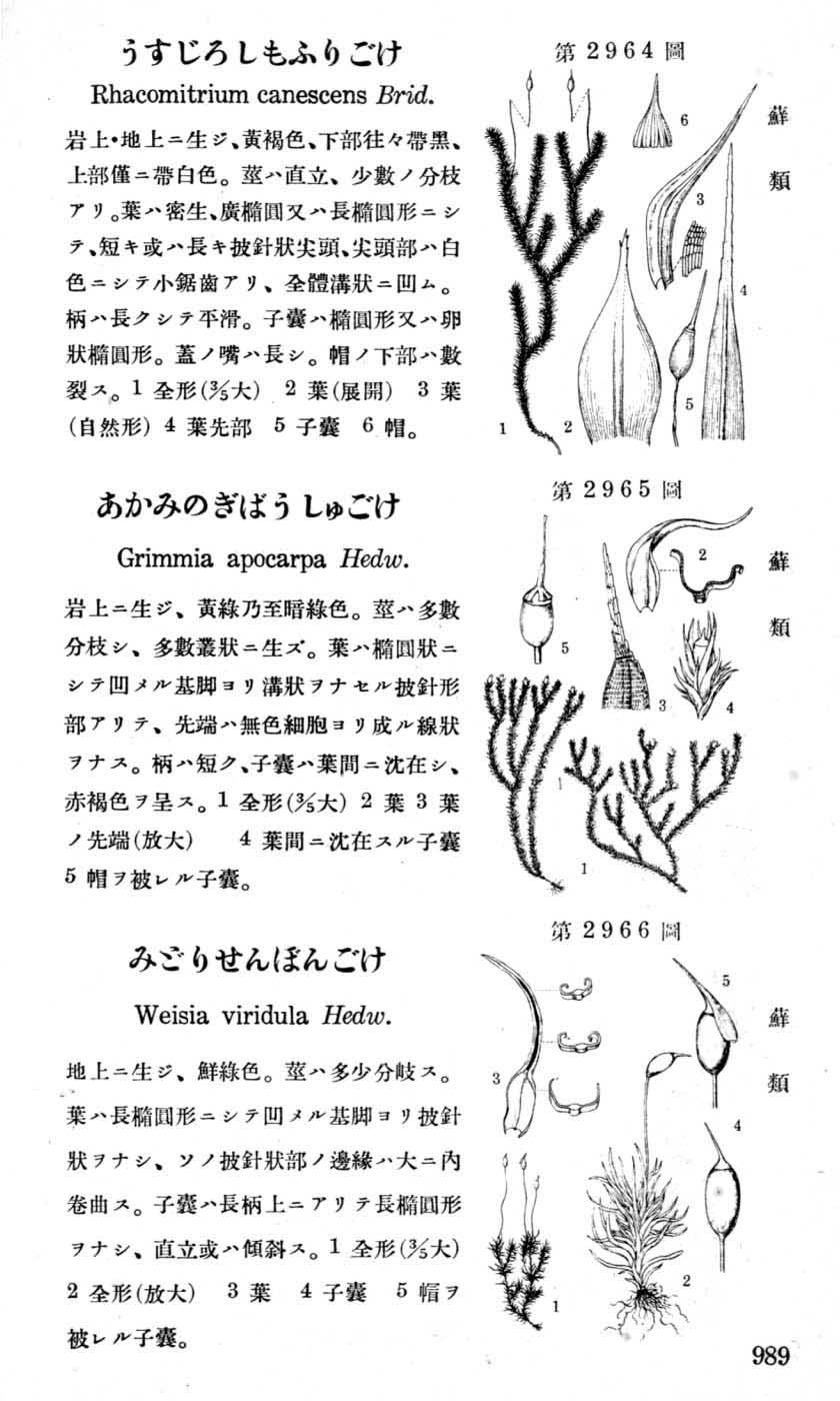 植物図鑑