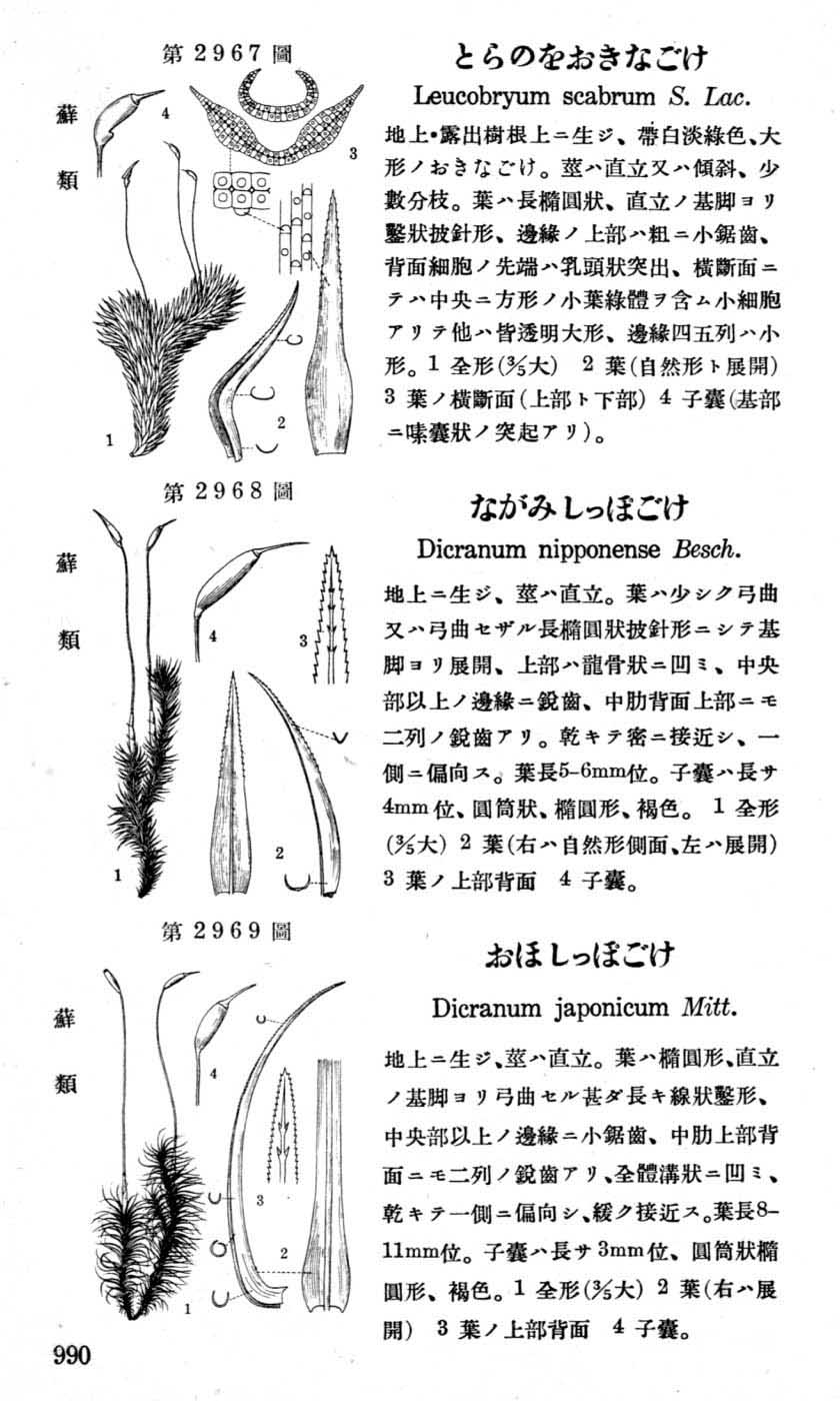 植物図鑑