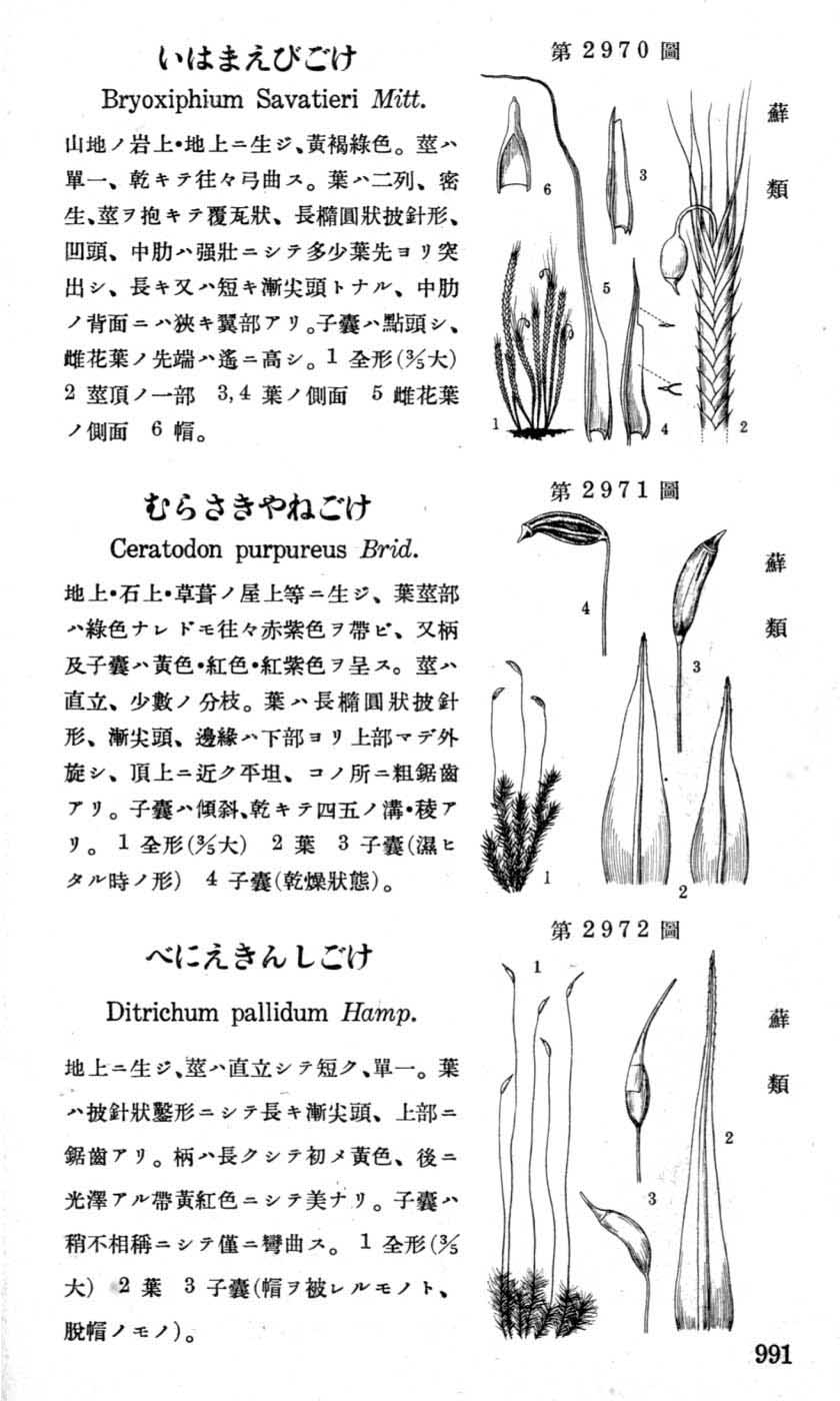 植物図鑑