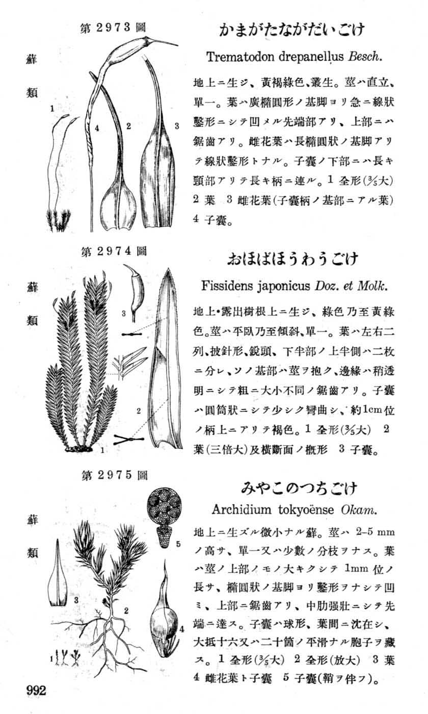 植物図鑑