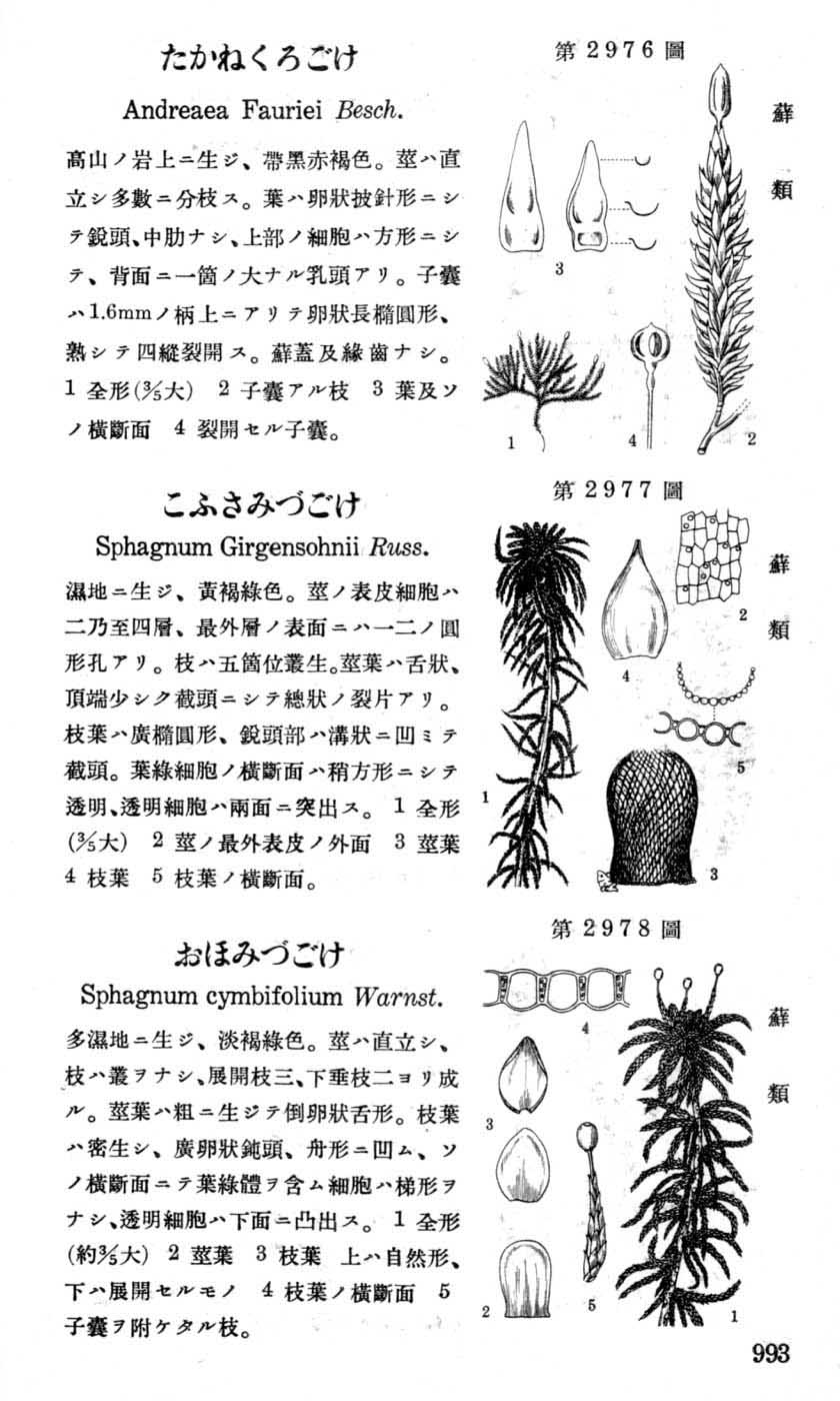 植物図鑑