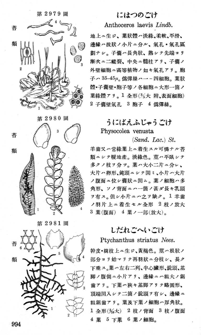 植物図鑑