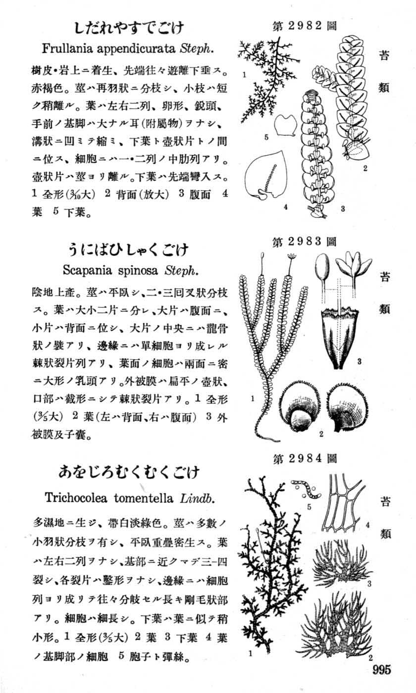 植物図鑑