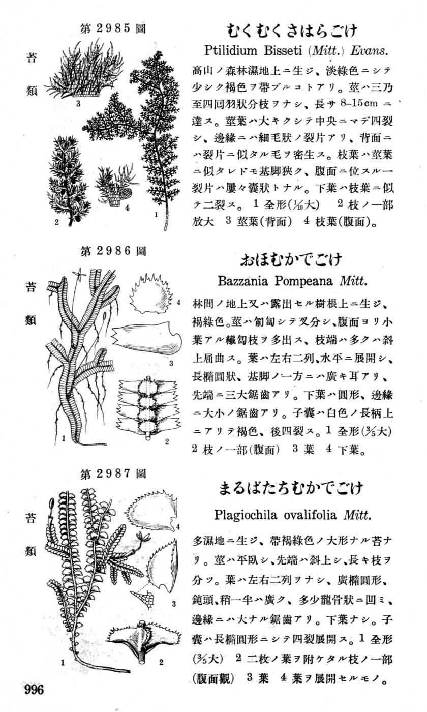 植物図鑑