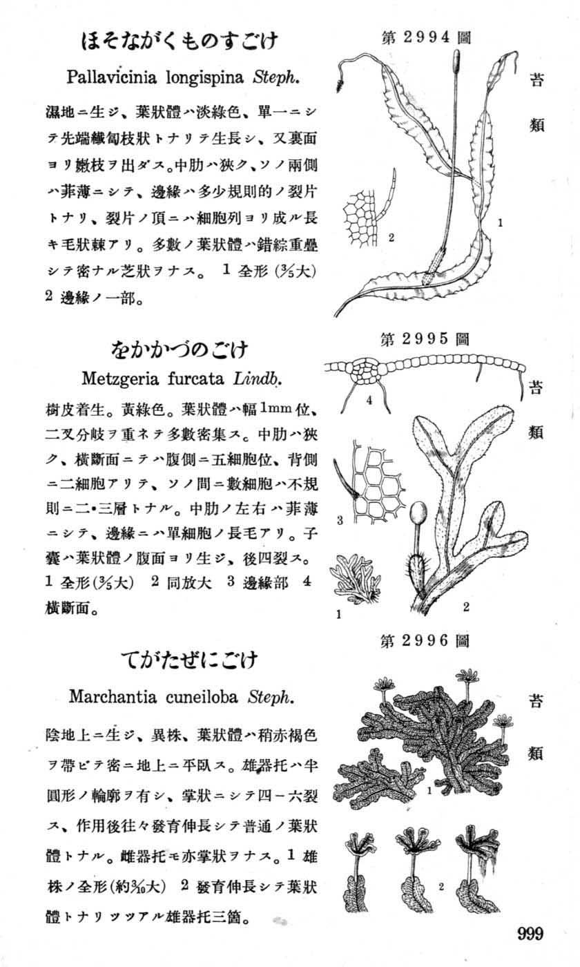 植物図鑑