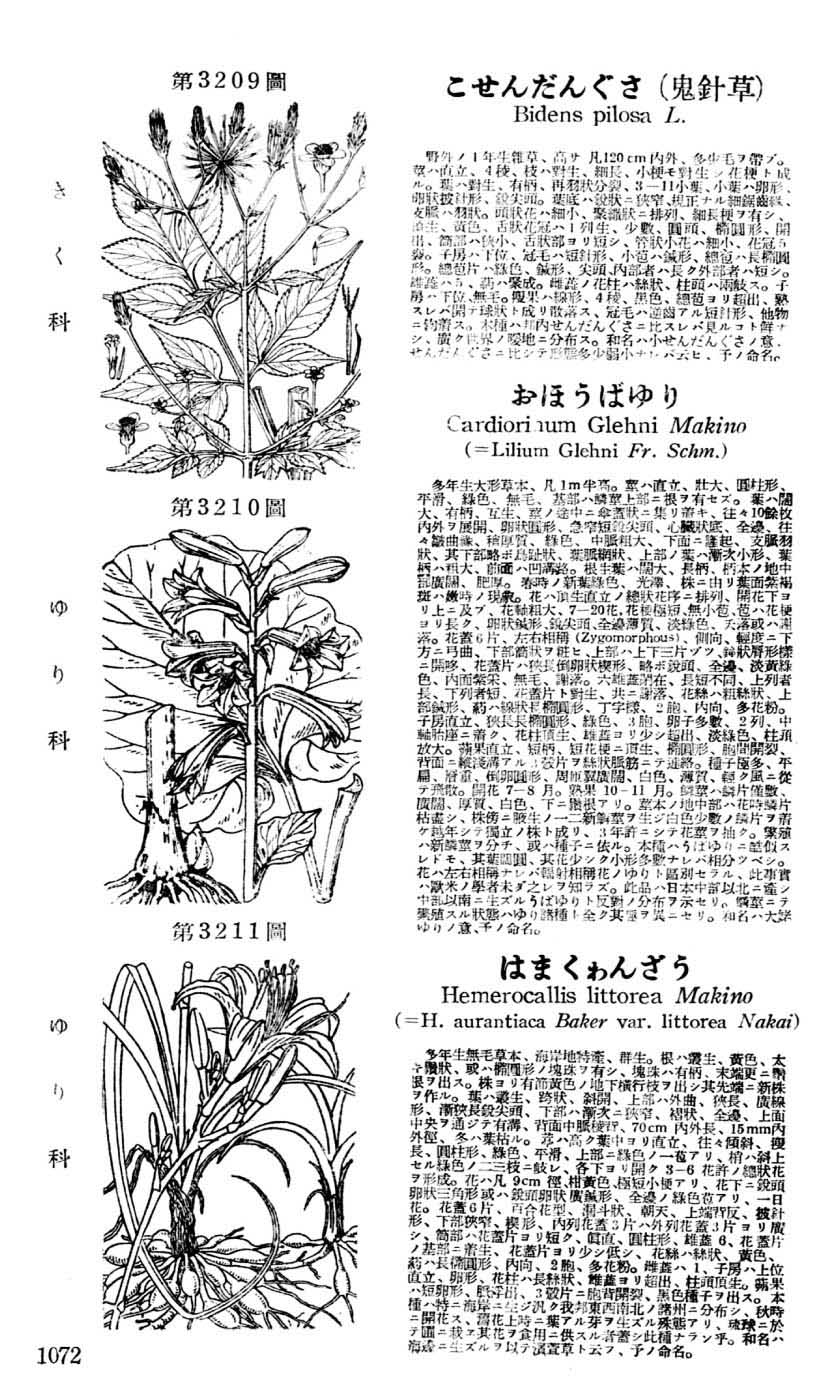 植物図鑑