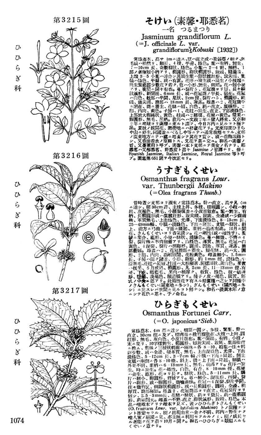 植物図鑑