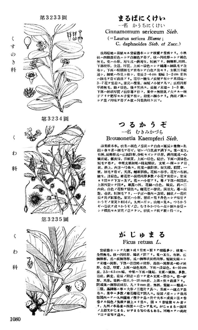 植物図鑑