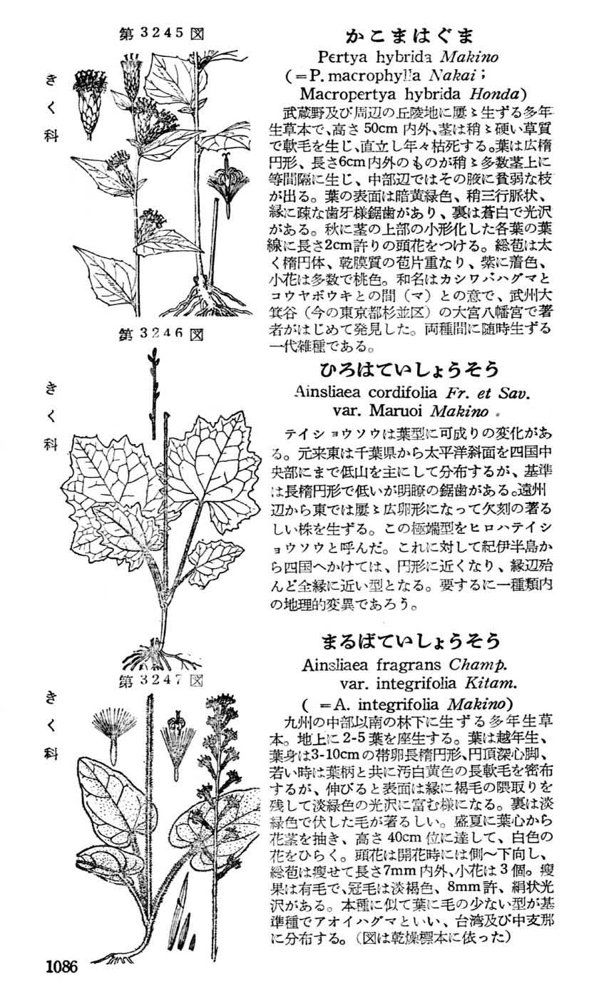 植物図鑑