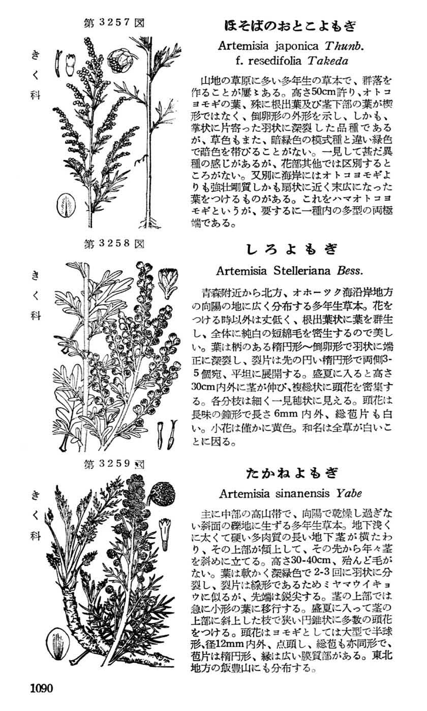 植物図鑑