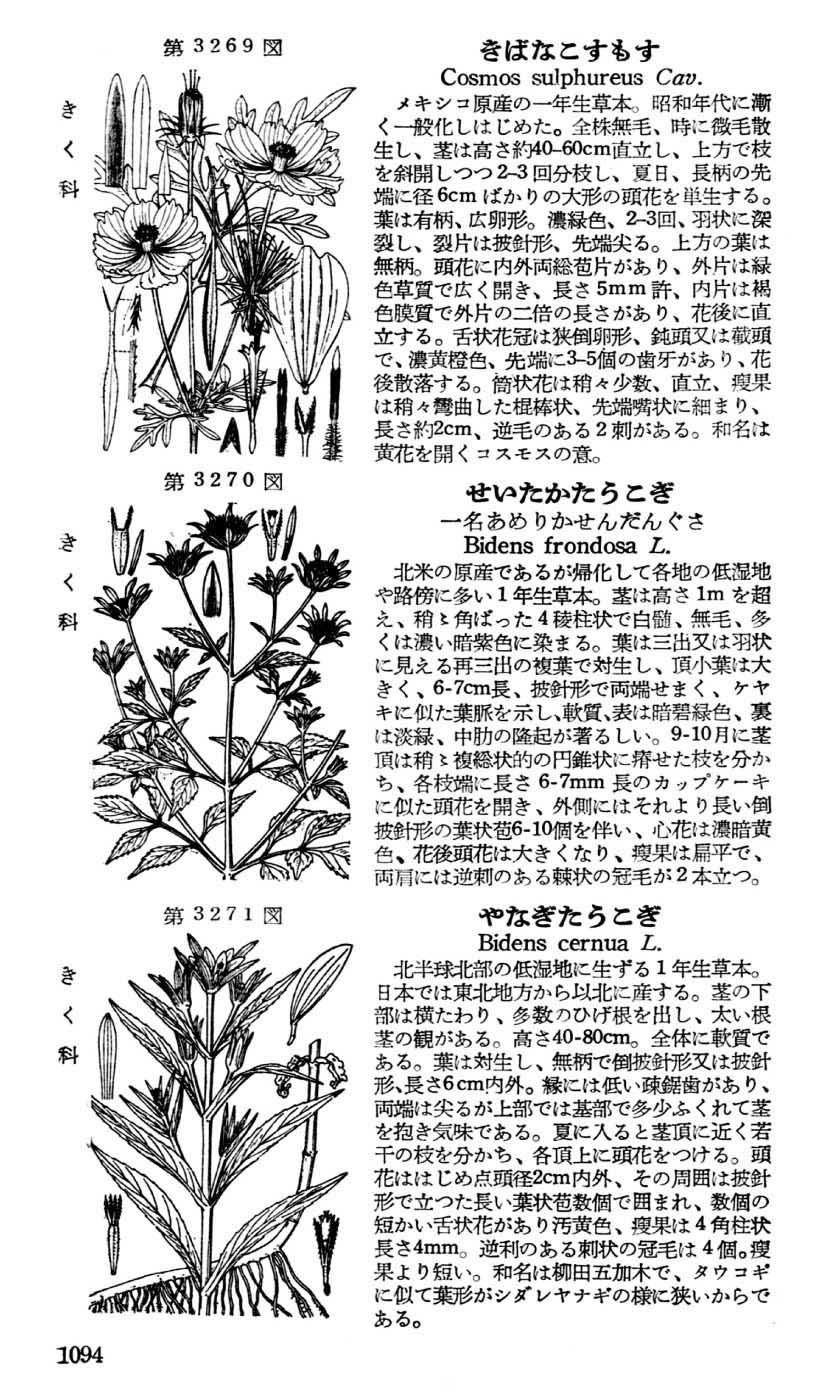 植物図鑑