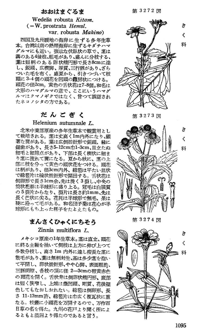 植物図鑑