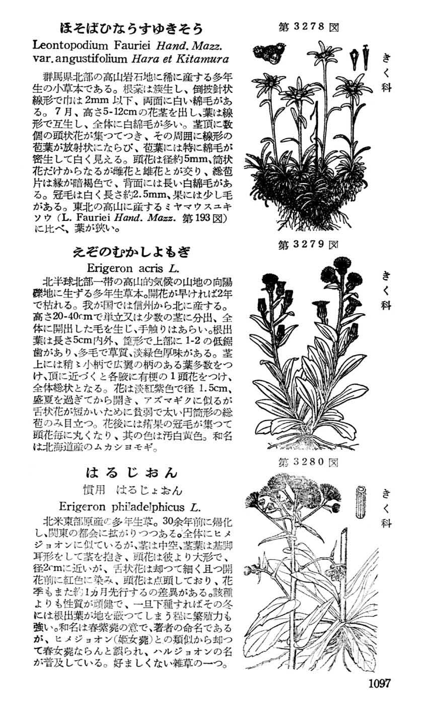 植物図鑑