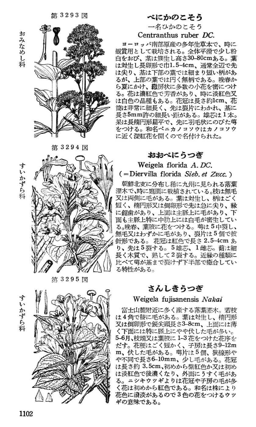 植物図鑑