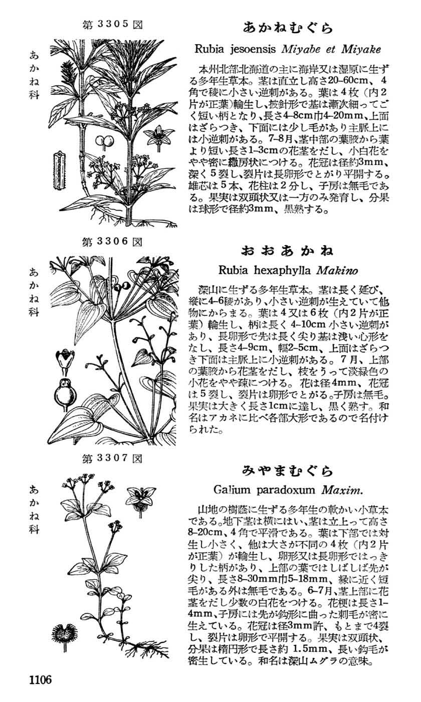 植物図鑑