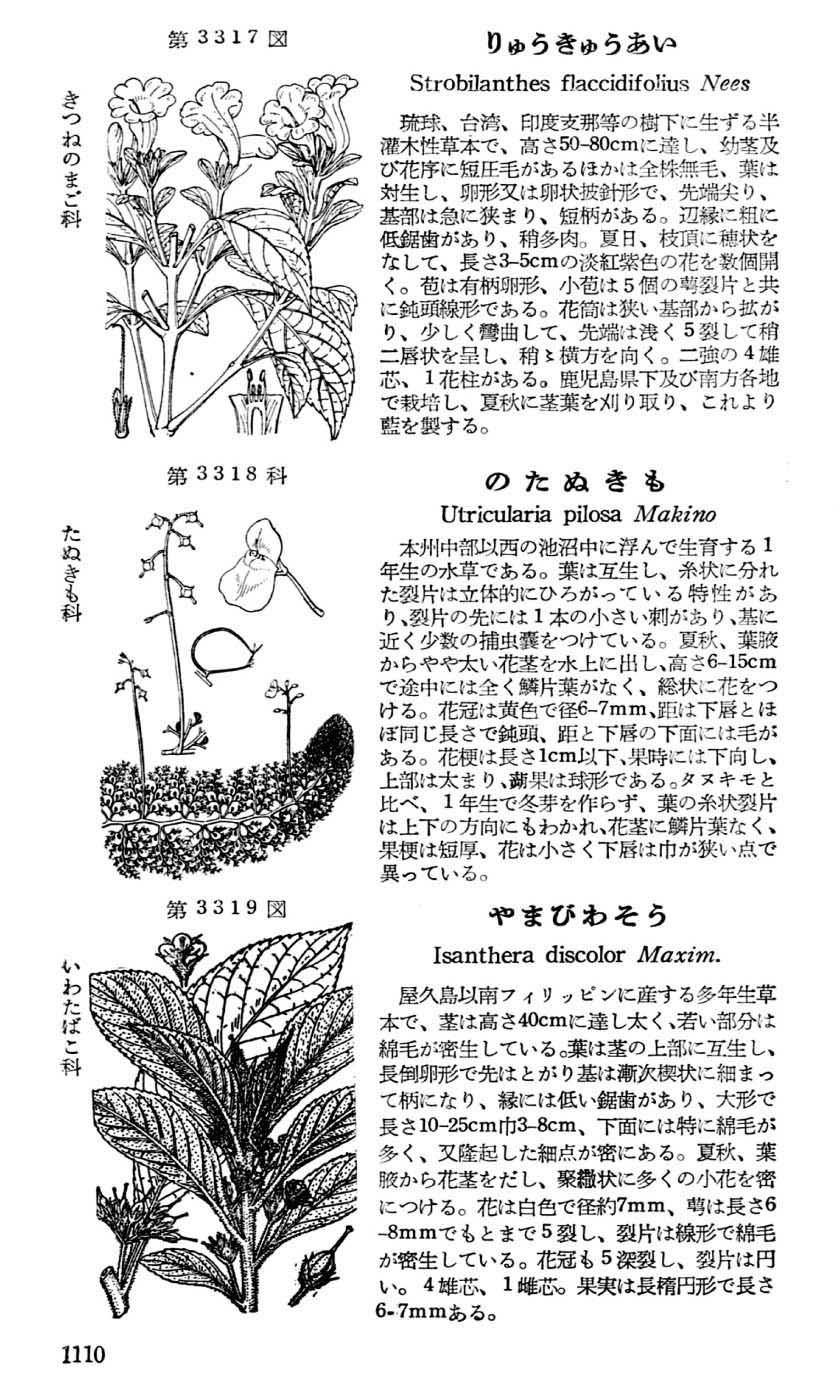 植物図鑑