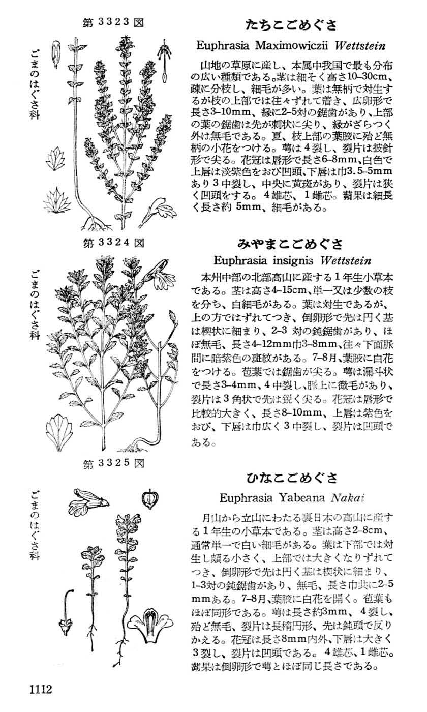 植物図鑑