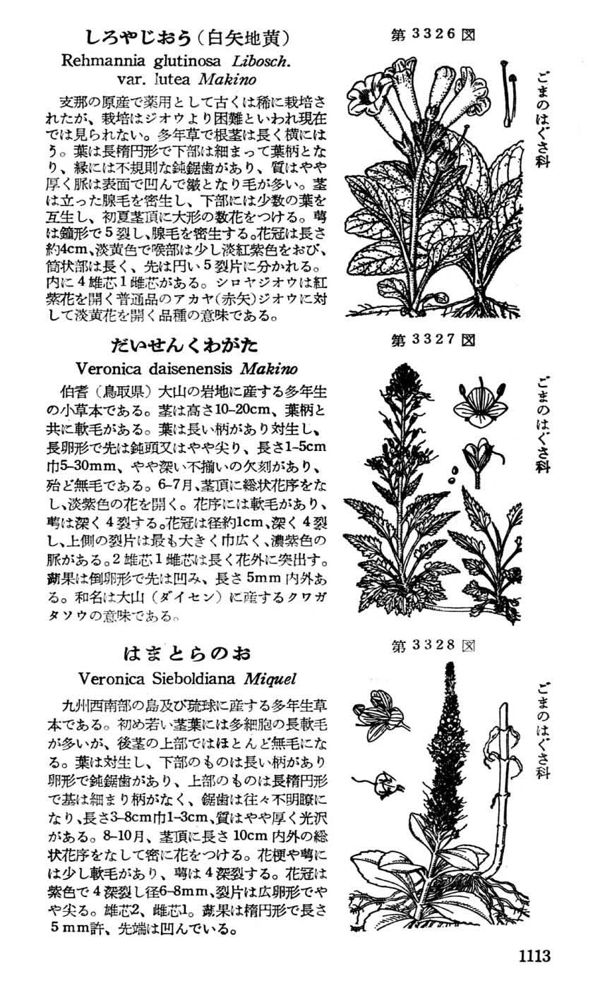 植物図鑑