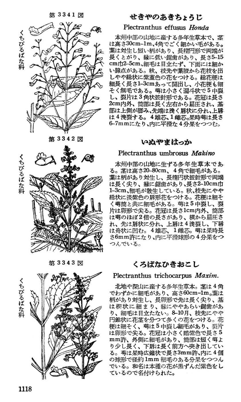 植物図鑑