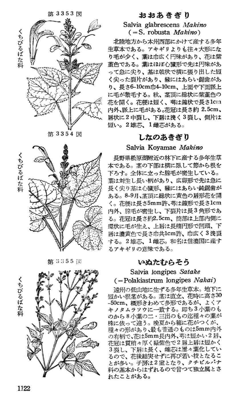 植物図鑑