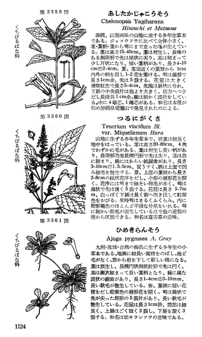 植物図鑑