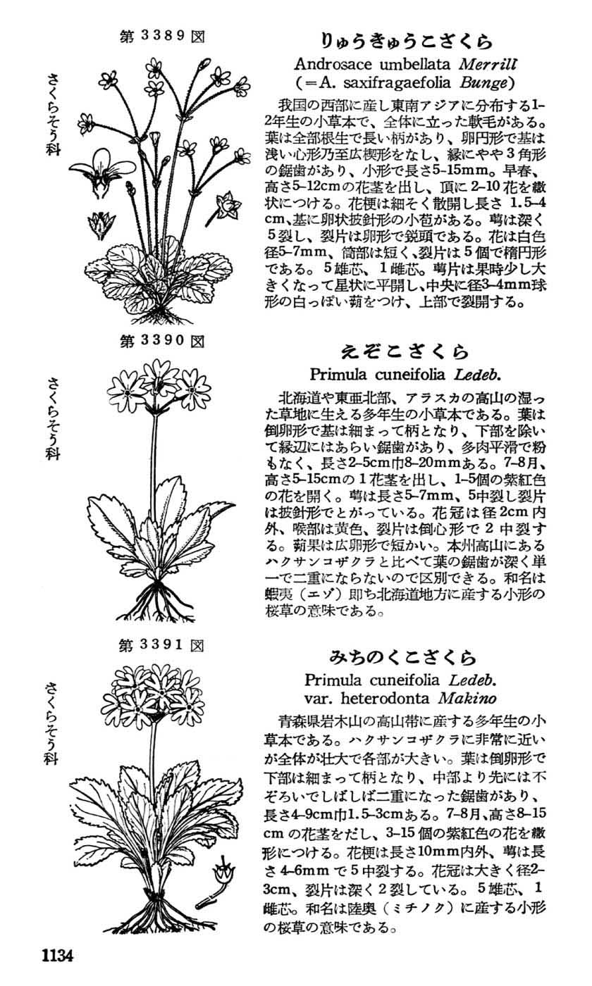 植物図鑑