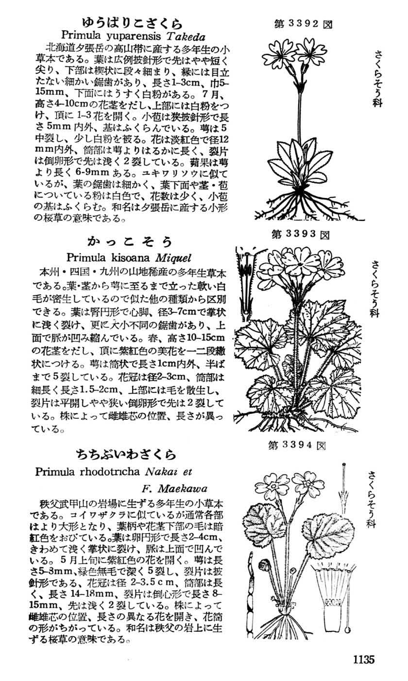 植物図鑑