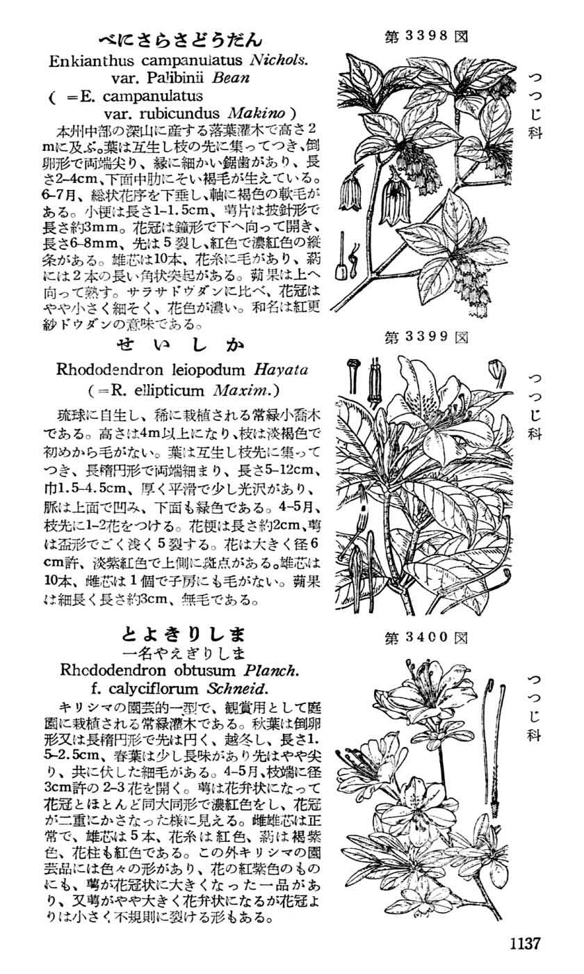 植物図鑑