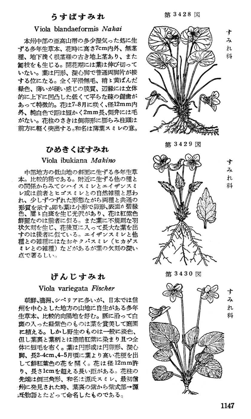 植物図鑑