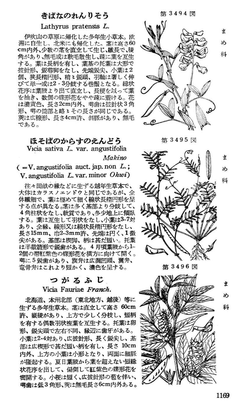 植物図鑑