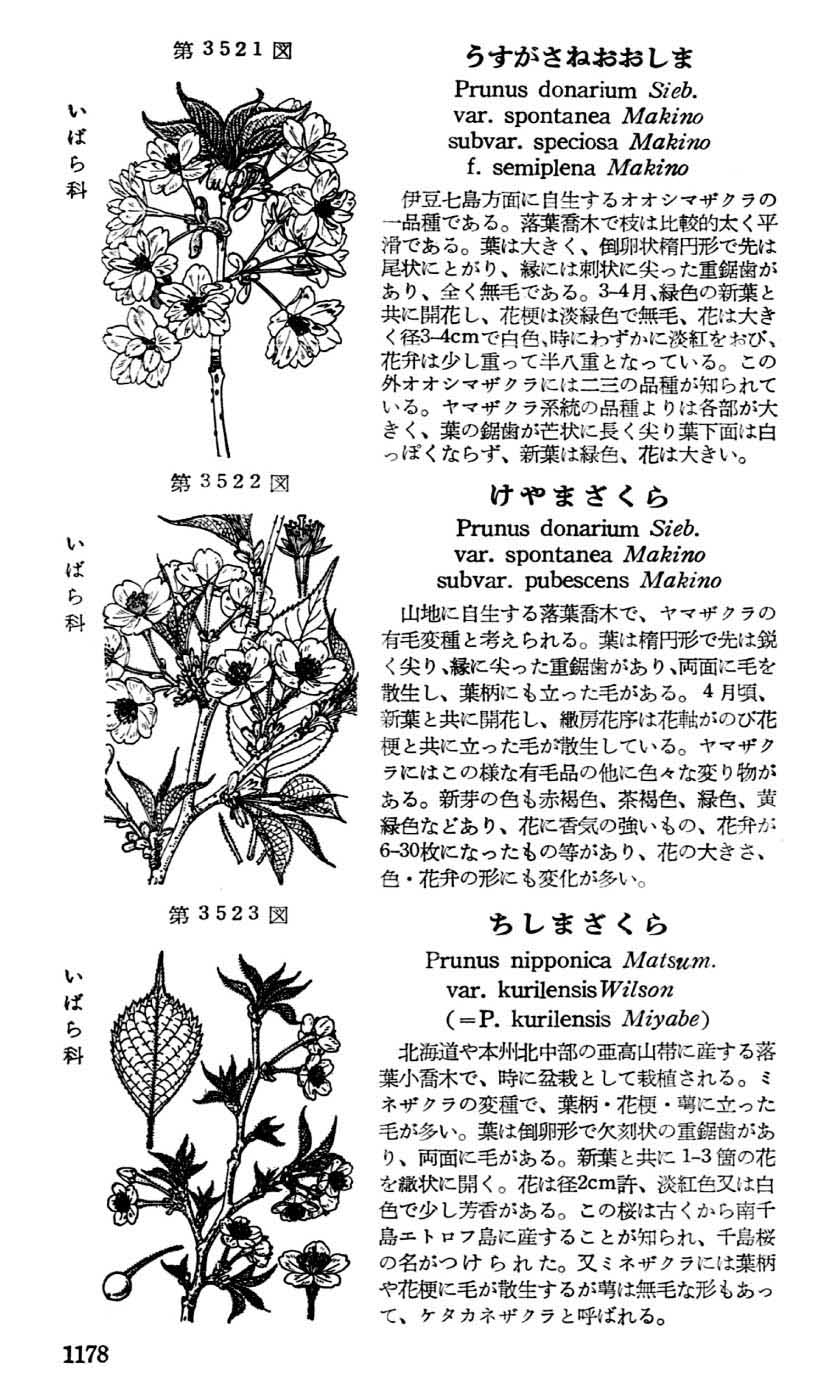 植物図鑑