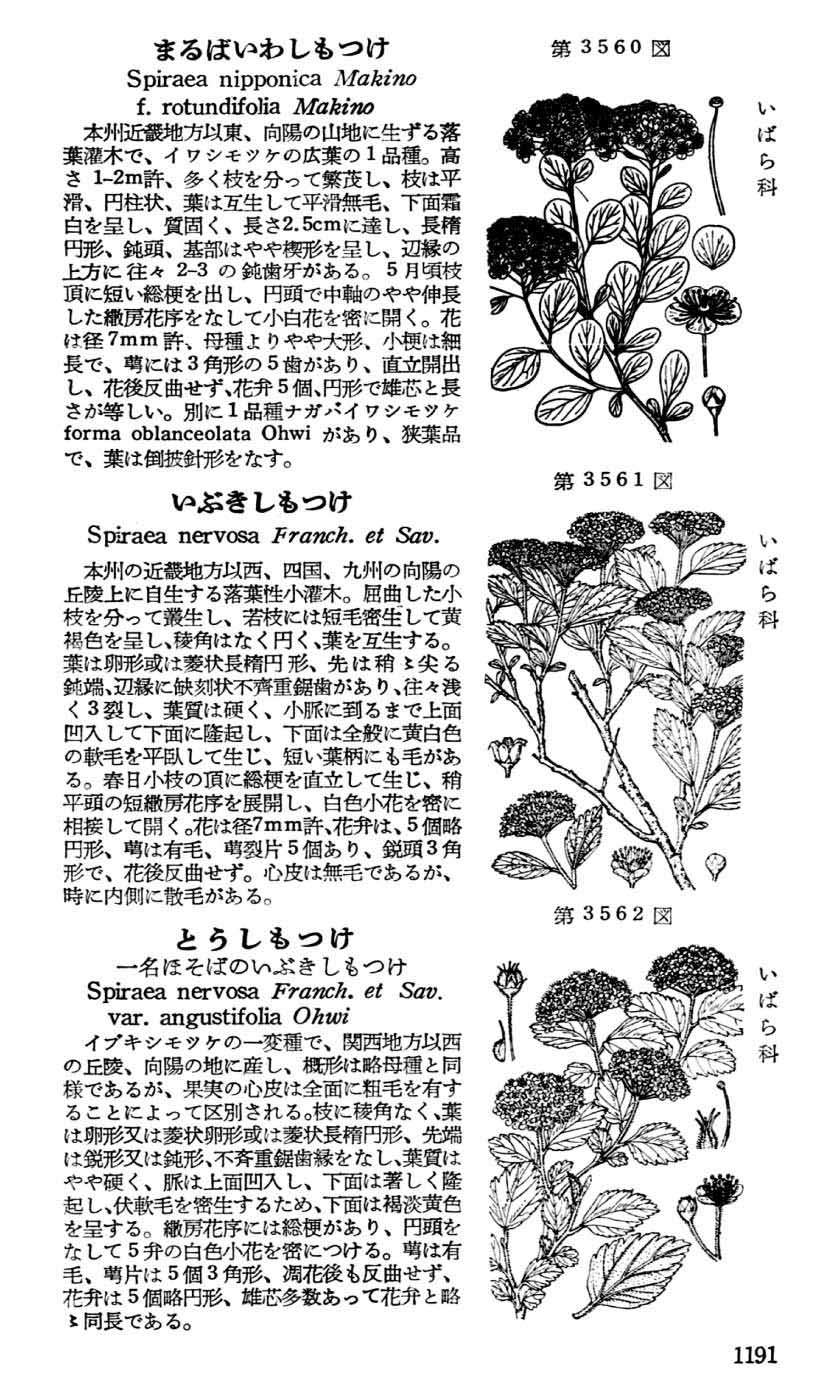 植物図鑑