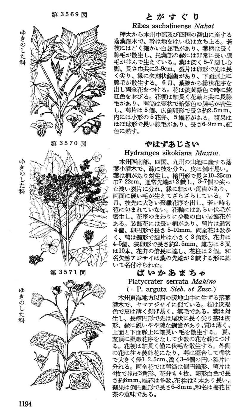 植物図鑑