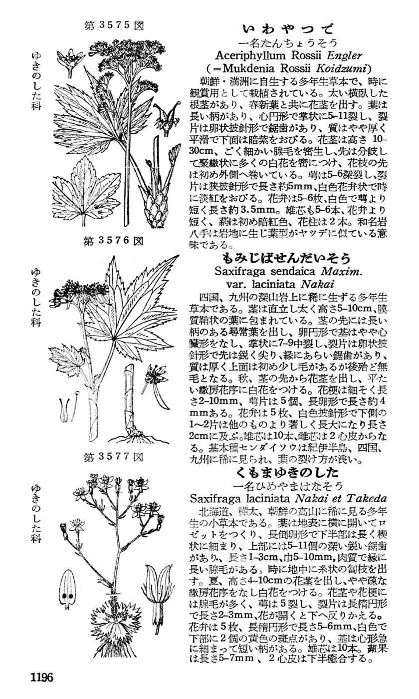 植物図鑑