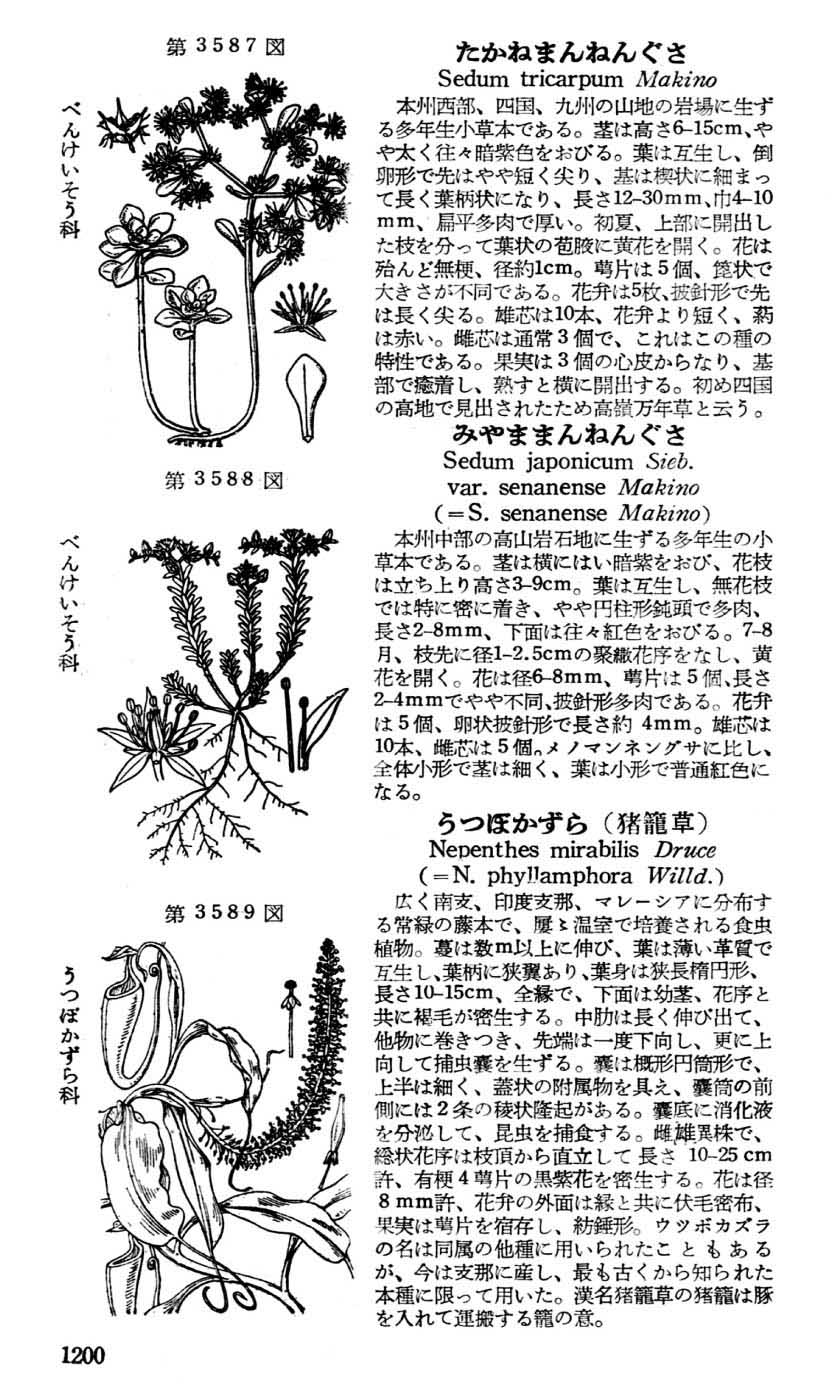 植物図鑑