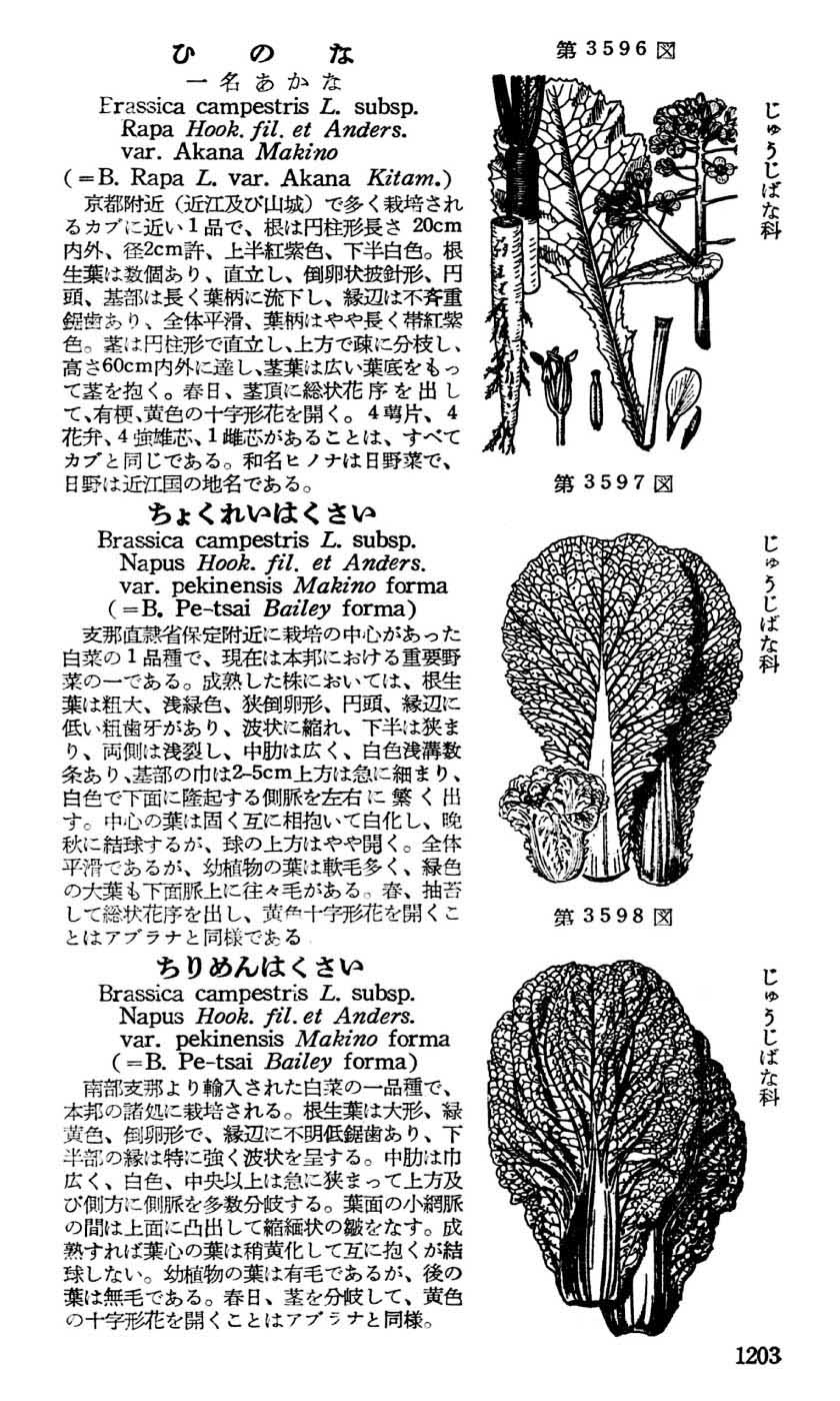 植物図鑑