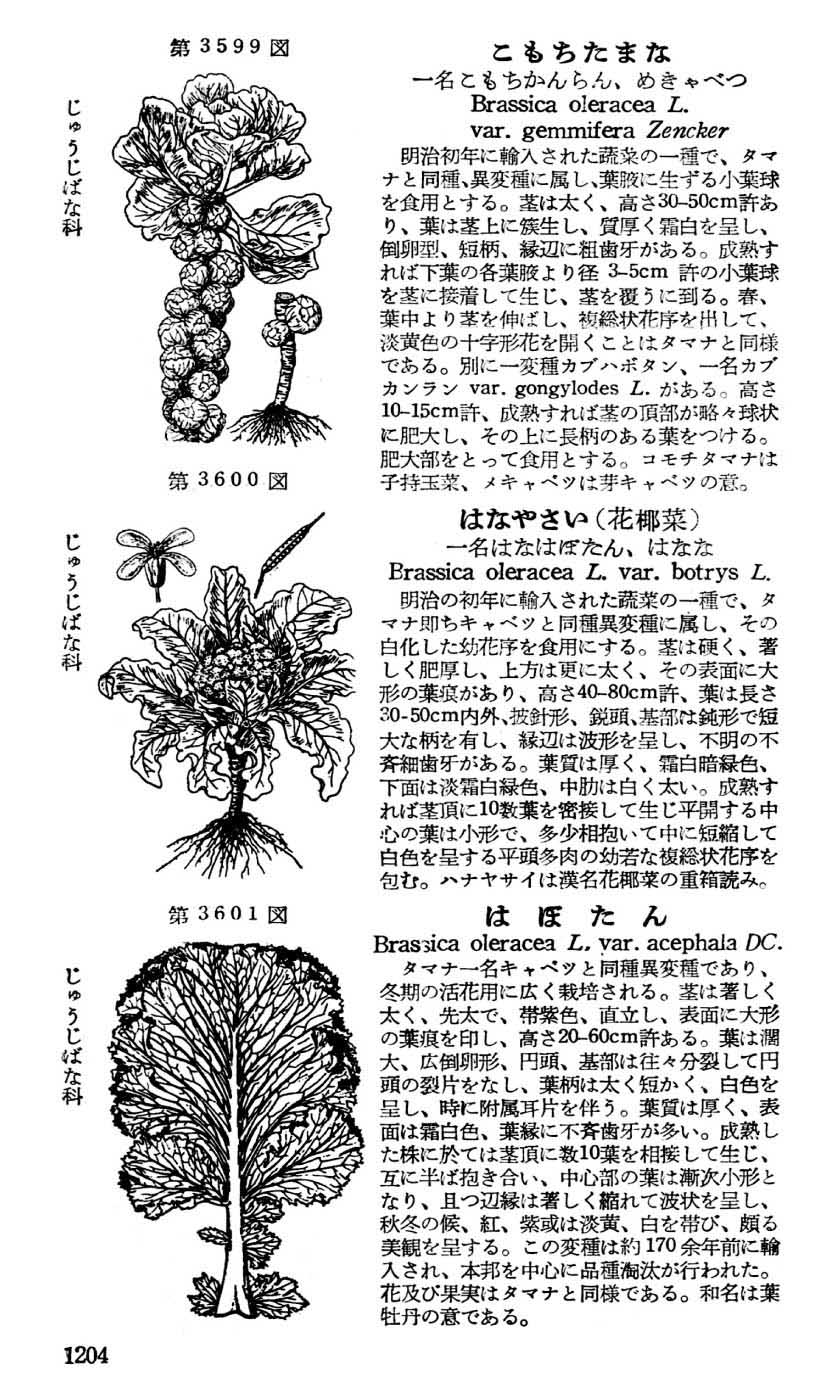 植物図鑑