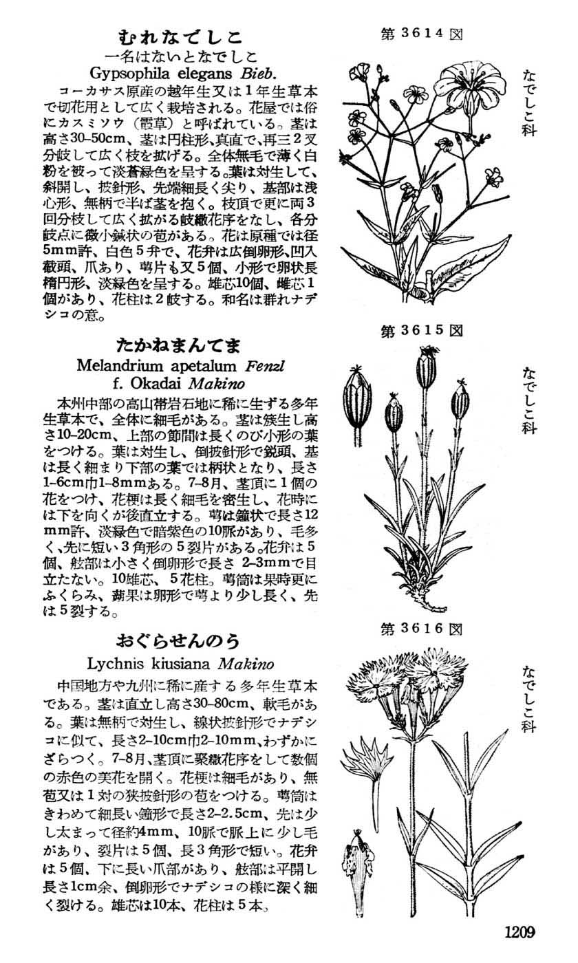 植物図鑑