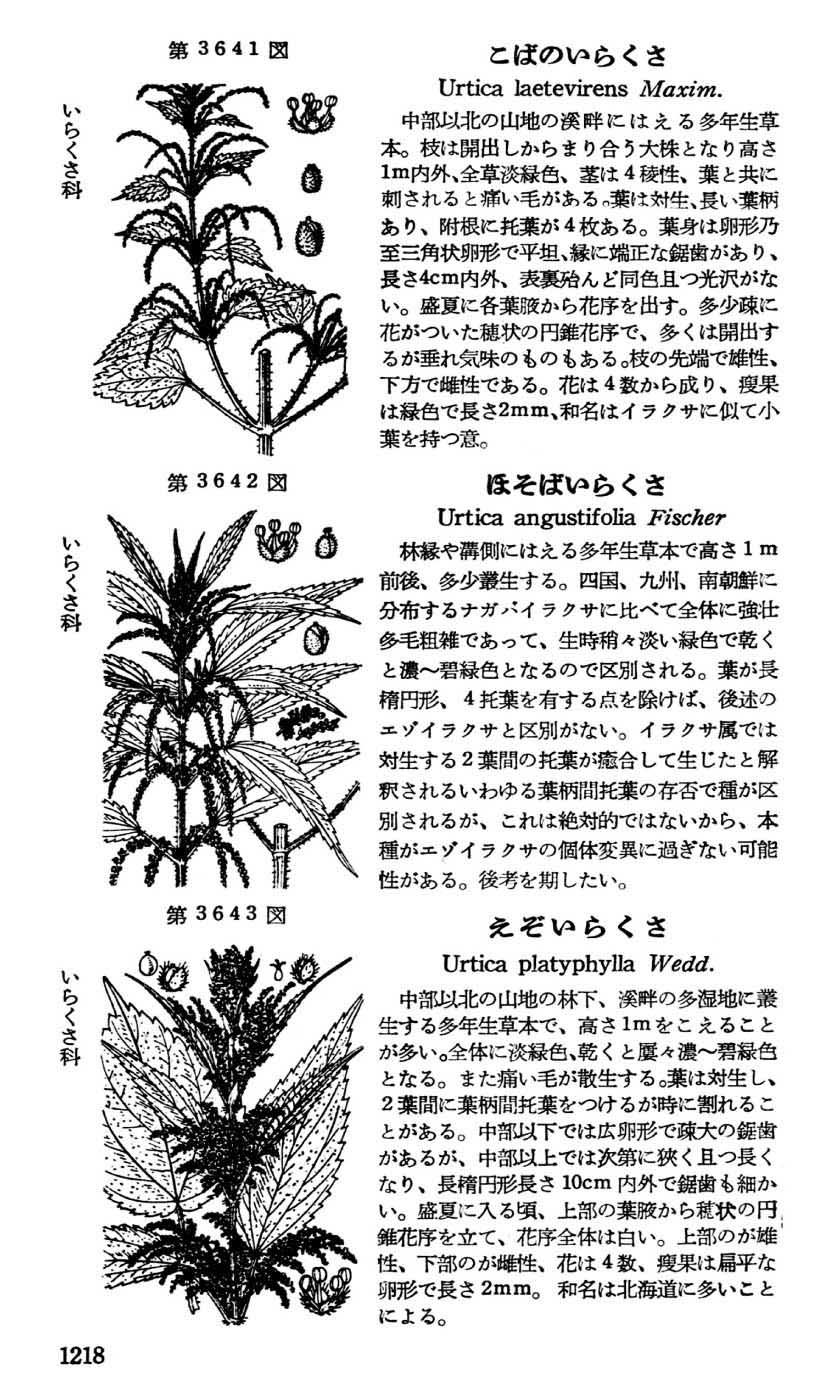 植物図鑑