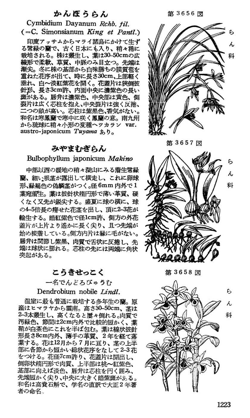 植物図鑑