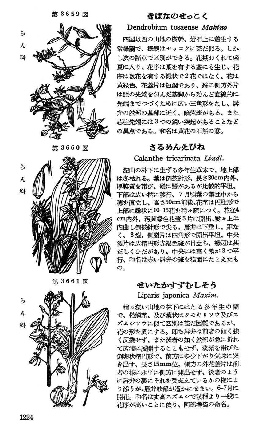 植物図鑑