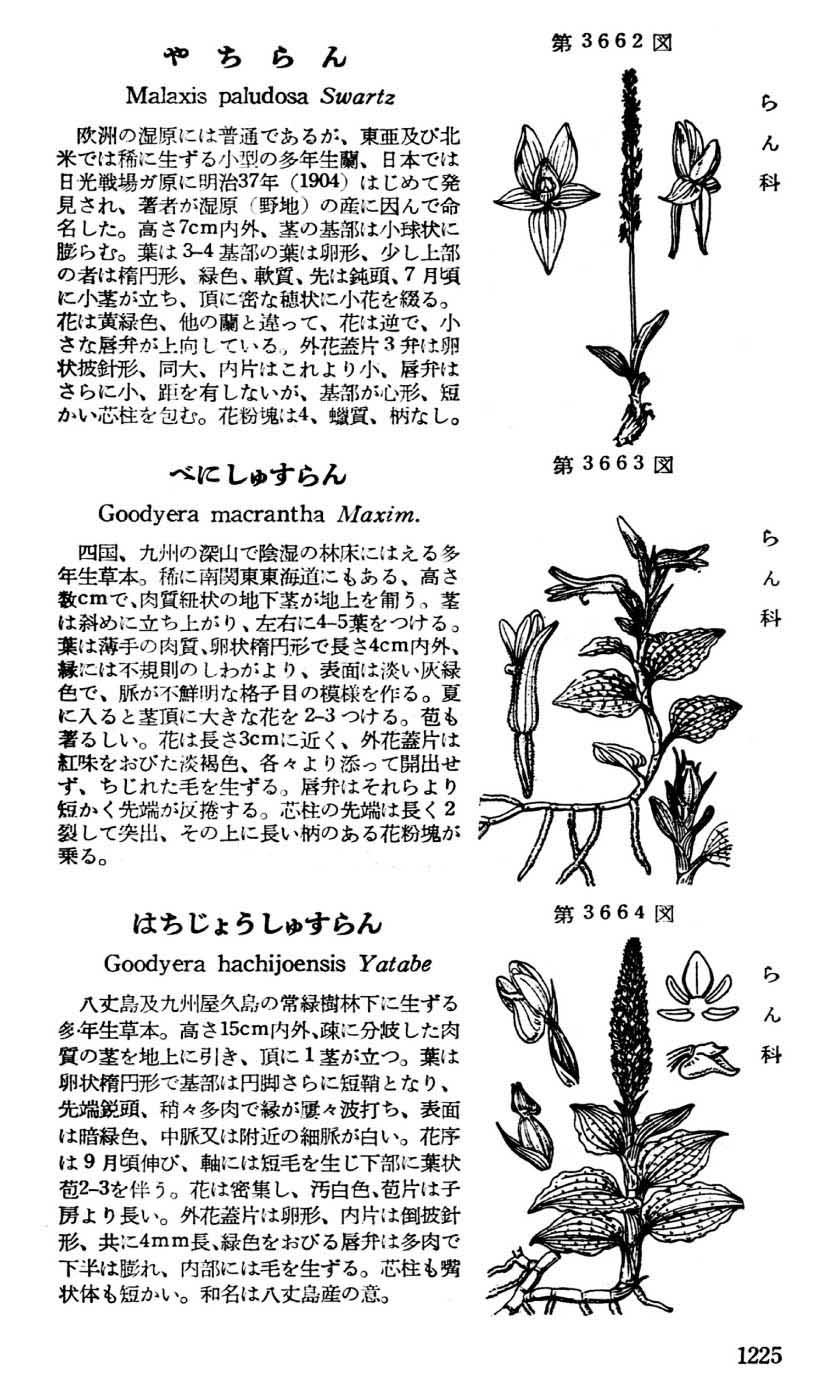 植物図鑑