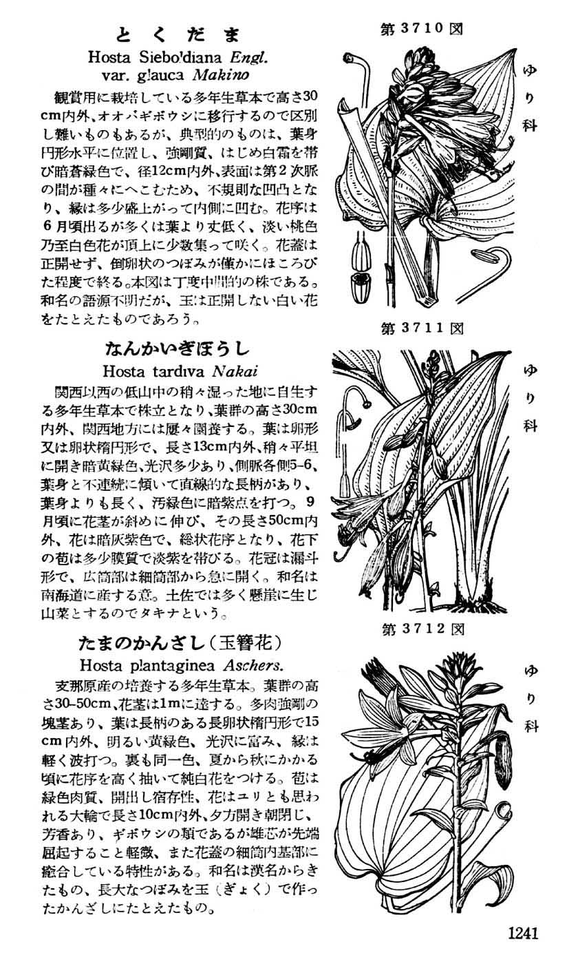 植物図鑑