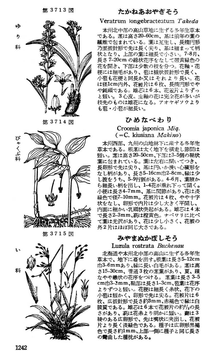 植物図鑑