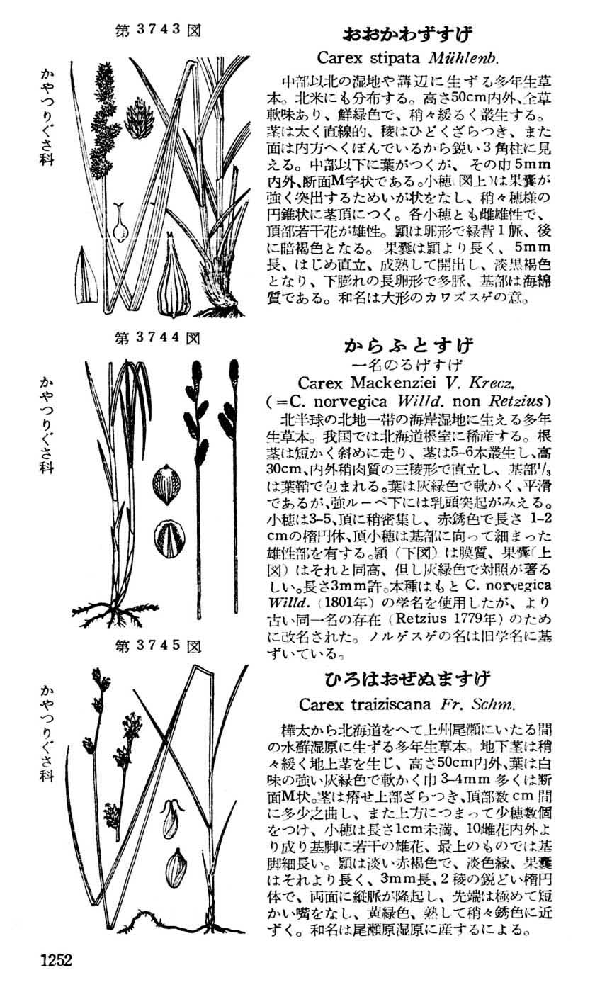 植物図鑑