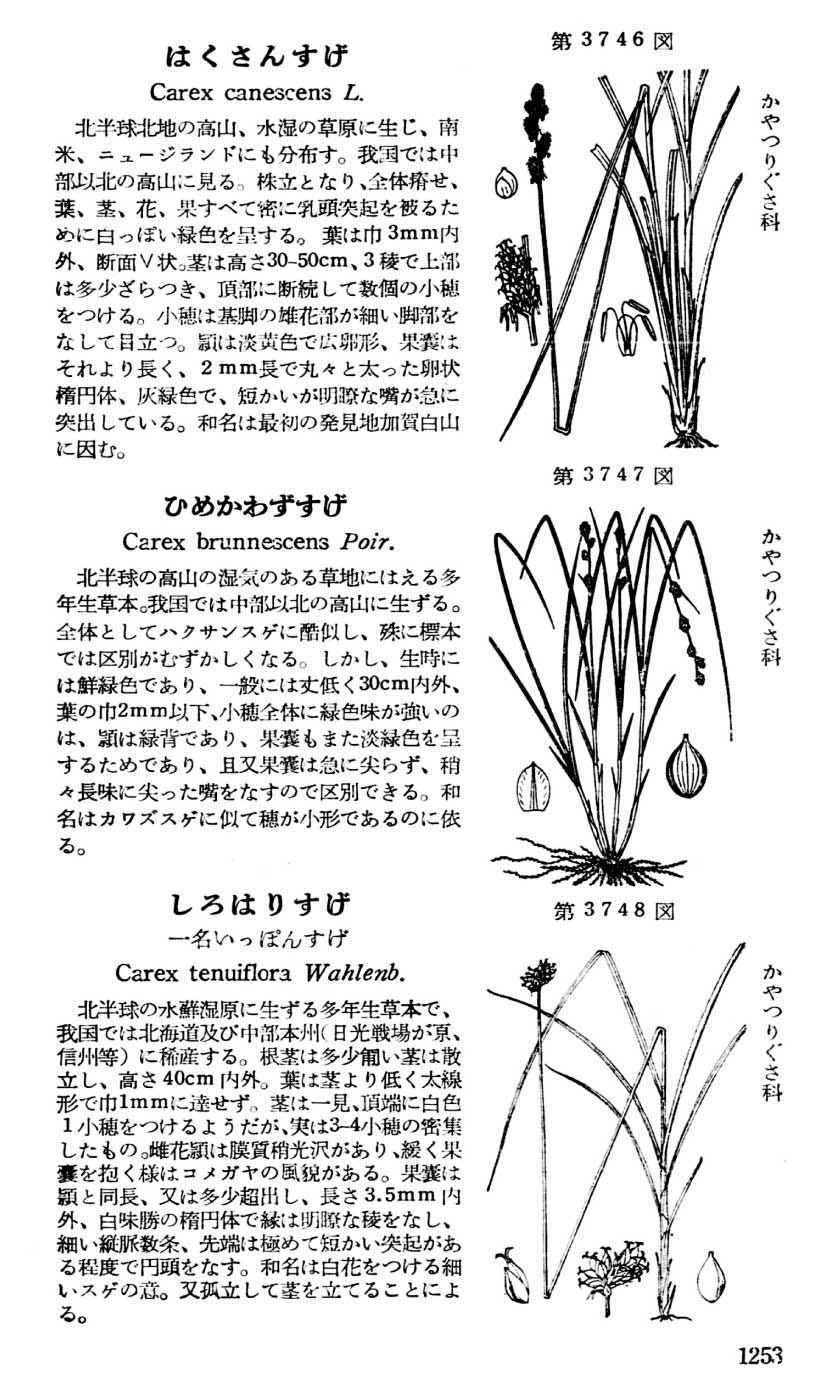 植物図鑑