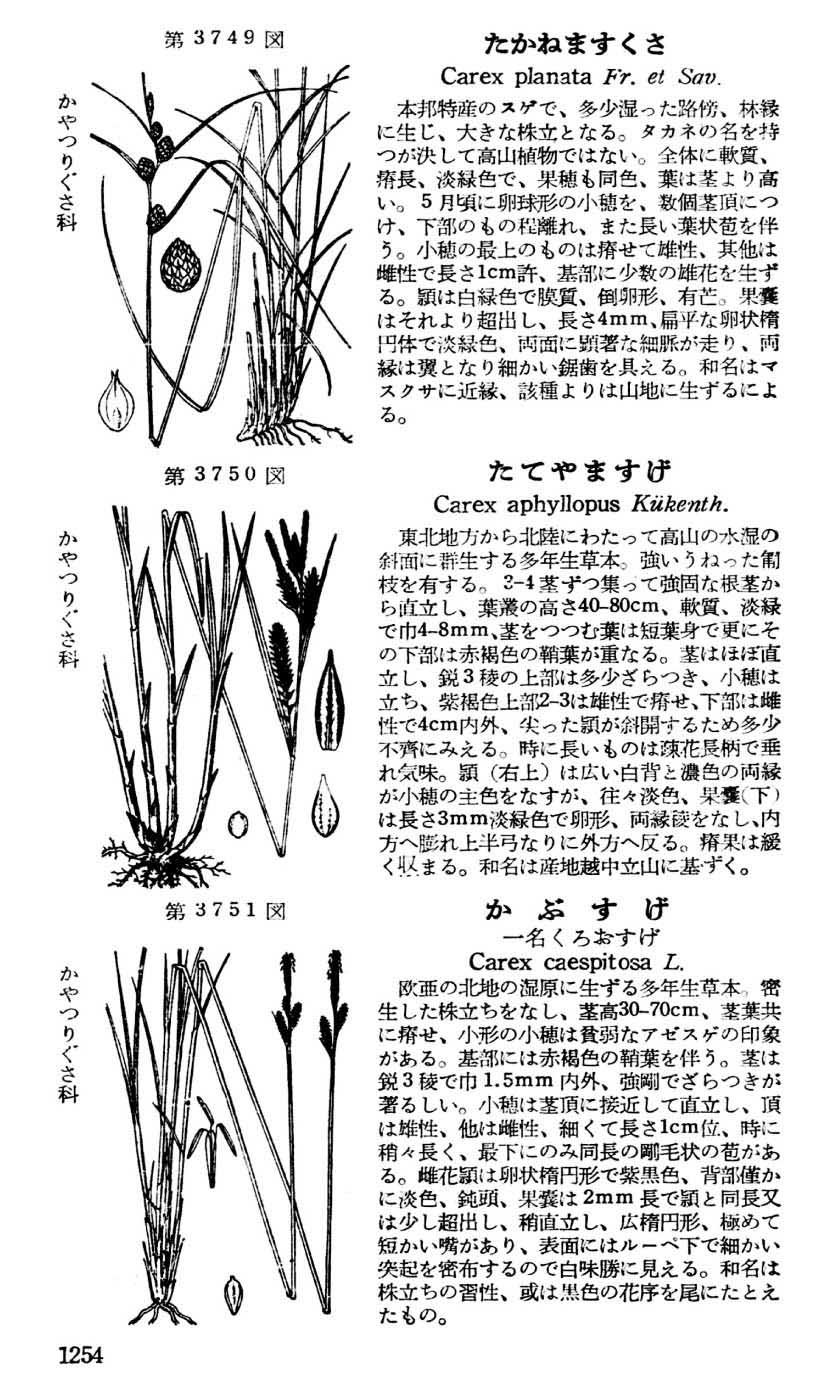 植物図鑑