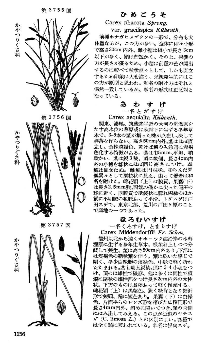 植物図鑑